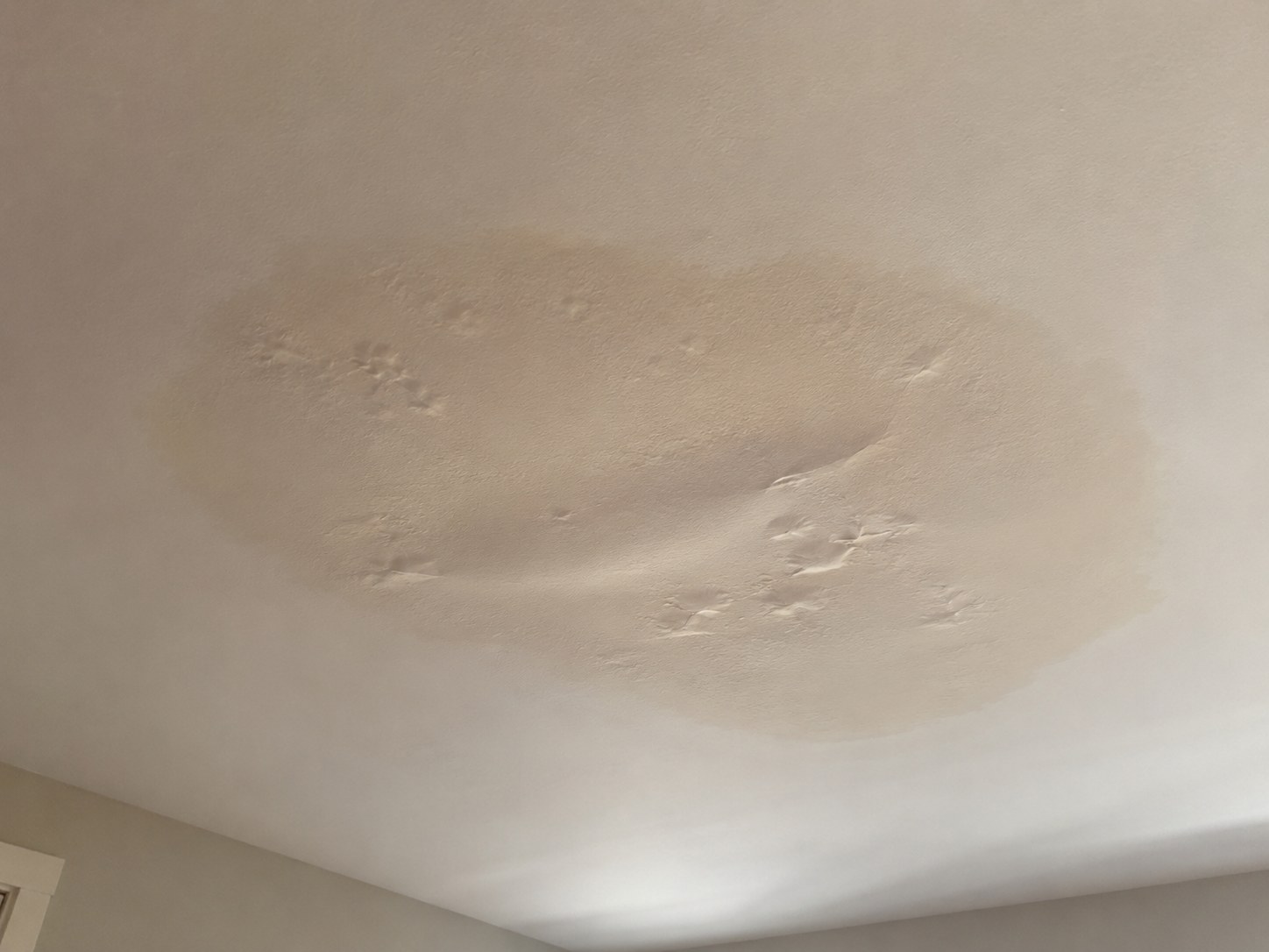 Tache d'eau au plafond — dégât des eaux